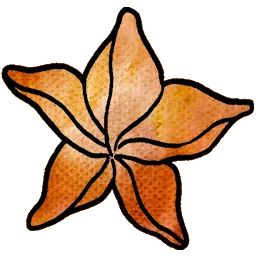 杨桃头 icon