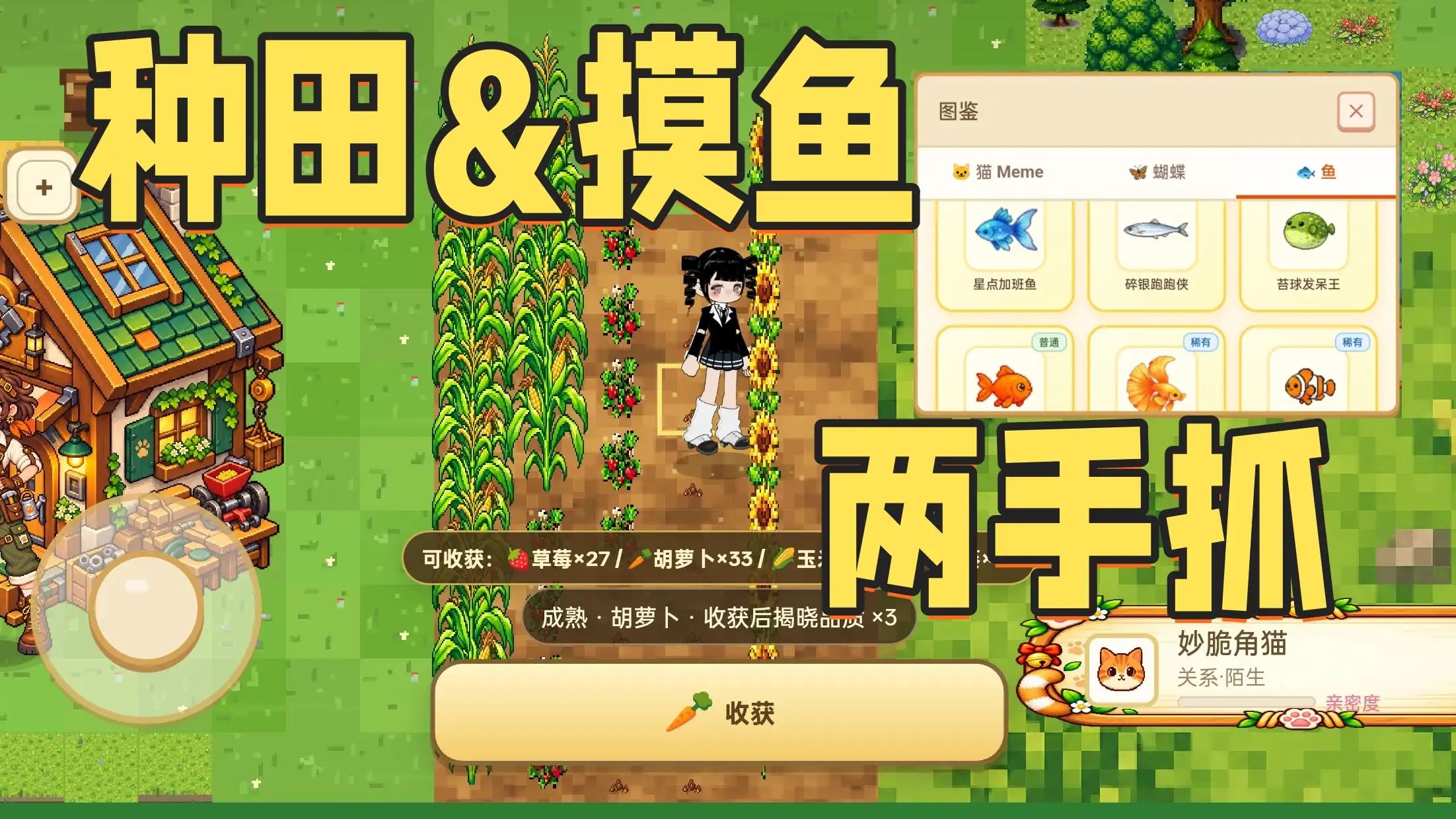 口袋猫meme游戏截图5
