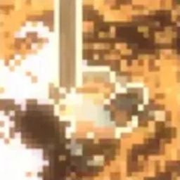 昆虫恐惧症 icon