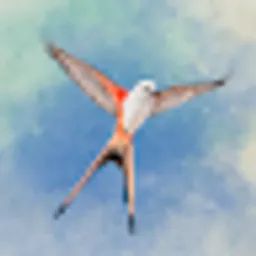 展翅翱翔 icon