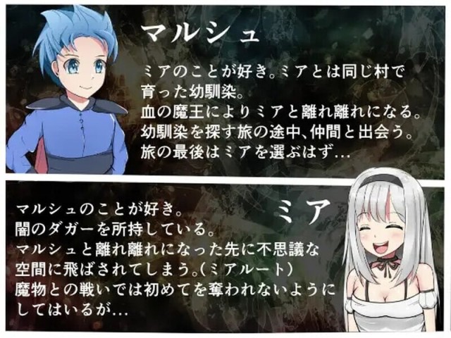 勇者と邪神のデスティニー～パーティーメンバ游戏截图3